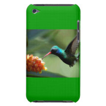 Humming Bird iPod Touch Case-Mate Case
