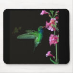 Humming Bird mousepad