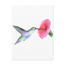 Humming Bird Post Card