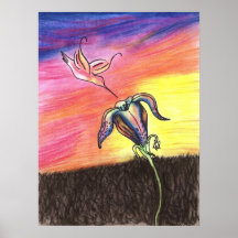 Humming Bird Sunset Poster