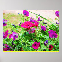 Humming Birds Print