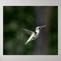 Humming Print