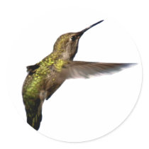 hummingbird_02 sticker