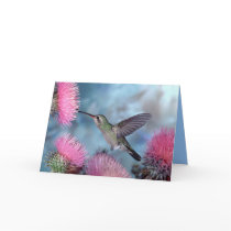Hummingbird All Occasion