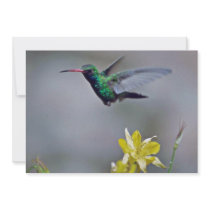 Hummingbird and columbine Red flowers Custom Invite