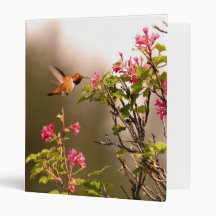Hummingbird and Flowers Binders
