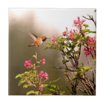 Hummingbird and Flowers Ceramic Tiles