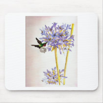Hummingbird and Flowers Mouse Pads