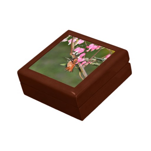Hummingbird and Flowers Picture Gift Boxes