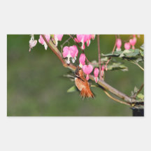 Hummingbird and Flowers Picture Rectangle Sticker