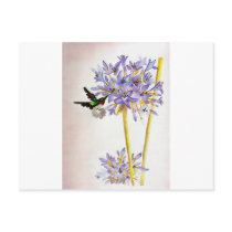 Hummingbird and Flowers Post Card