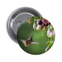 Hummingbird And Fushia Flower Plant Button