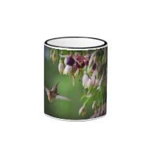 Hummingbird And Fushia Flower Plant Mug