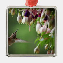 Hummingbird and Fushia Plant Christmas Ornament