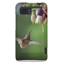 Hummingbird and Fushia Plant HTC Vivid Covers