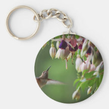 Hummingbird and Fushia Plant Keychains