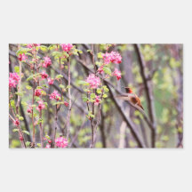 Hummingbird and Pink Flowers Sticker