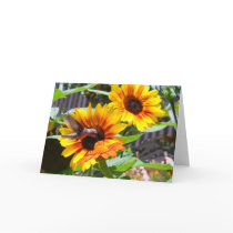 Hummingbird and Sunflowers Greeting Card