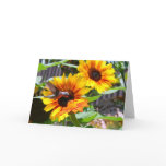 Hummingbird and Sunflowers cards