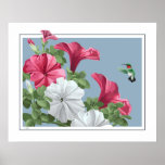 Hummingbird Art Posters