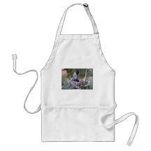 Hummingbird Babies Aprons