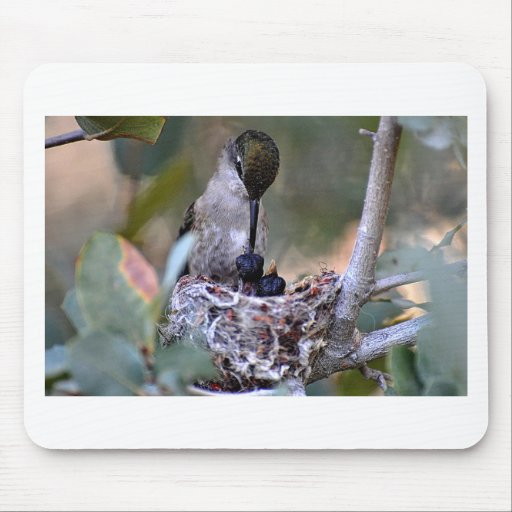 Hummingbird Babies Mouse Pads