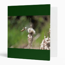 Hummingbird Building a Nest 3 Ring Binder