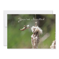 Hummingbird Building a Nest Custom Invitations
