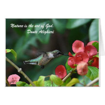 Hummingbird Card