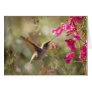 Hummingbird Card_Anna's Hummingbird