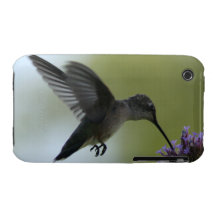 HummingBird iPhone 3 Covers