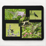 Hummingbird Collage Mouse Mats