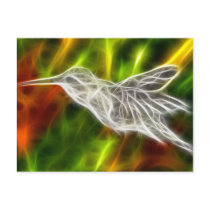 Hummingbird Getting Sweet Post Cards