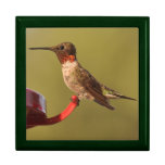 Hummingbird Giftbox Keepsake Boxes