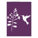 Hummingbird Greeting Card- Blank