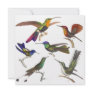 Hummingbird Invitation - 6 Beautiful Hummingbirds