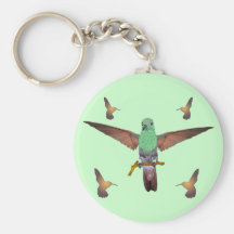 Hummingbird Keychain