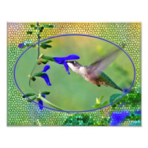 Hummingbird Lunch Art Photo
