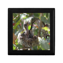 Hummingbird Mom Box ~ Kimberly P-Chadwick Keepsake Box
