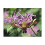 Hummingbird Moth Postcard