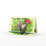 Hummingbird Mother's Day