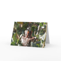 Hummingbird Mothers Day~ Kimberly P-Chadwick Greeting Card