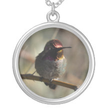 Hummingbird necklace