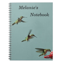 Hummingbird Notebook