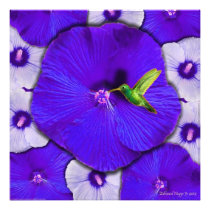 Hummingbird Photo Print