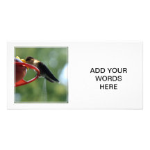 Hummingbird Poop! Photo Card