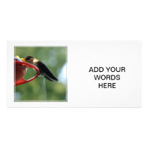 Hummingbird Poop! Photo Card