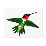 Hummingbird Postcard