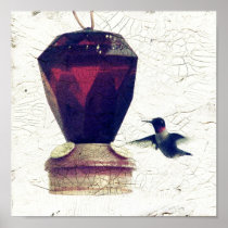 Hummingbird Poster