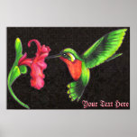 Hummingbird Print
